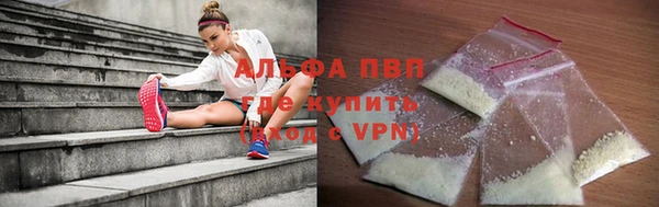 шишки Арсеньев