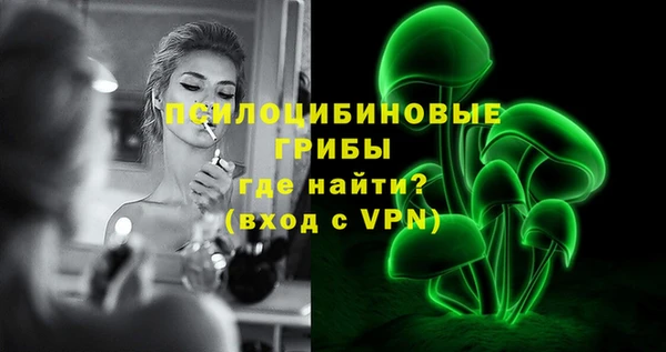 шишки Арсеньев