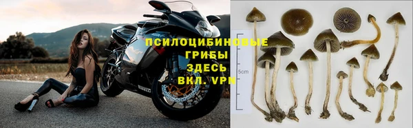 a pvp Аркадак
