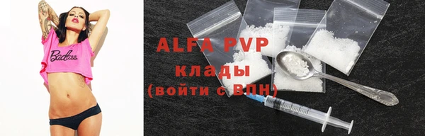a pvp Аркадак