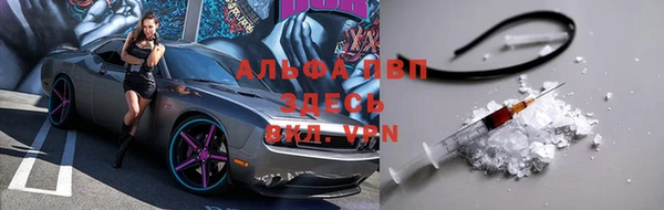 шишки Арсеньев