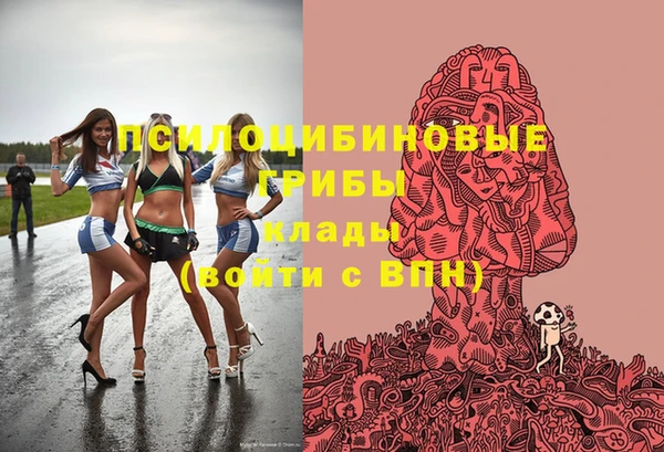 шишки Арсеньев