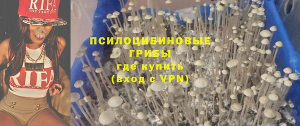 a pvp Аркадак