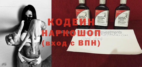 шишки Дмитриев
