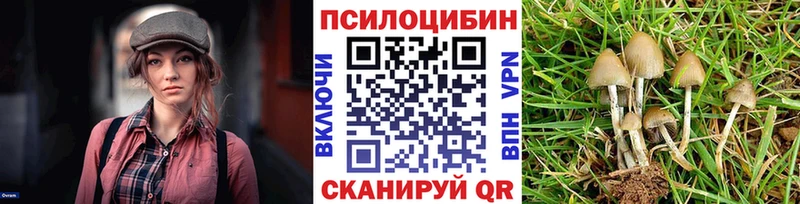 Псилоцибиновые грибы Psilocybine cubensis  купить наркотик  кракен как зайти  Солнечногорск 