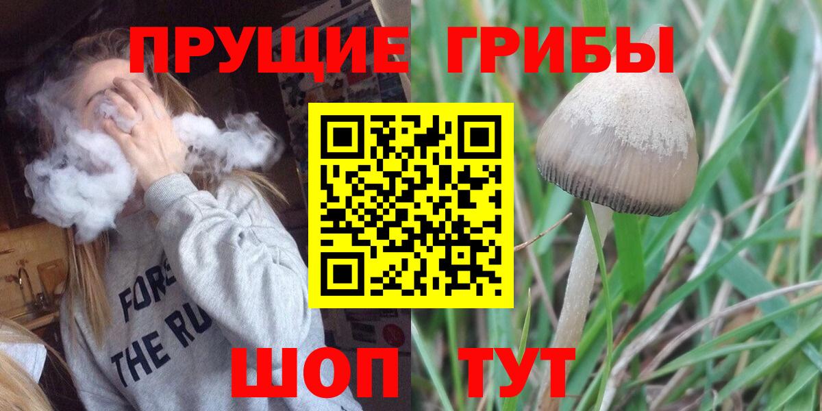 Псилоцибиновые грибы Cubensis Солнечногорск
