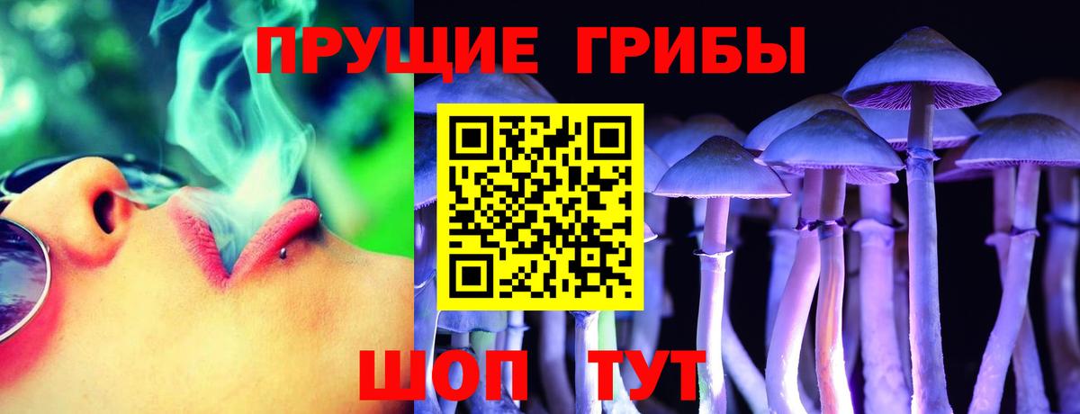 Солнечногорск  Галлюциногенные грибы Psilocybine cubensis  Вход с VPN 