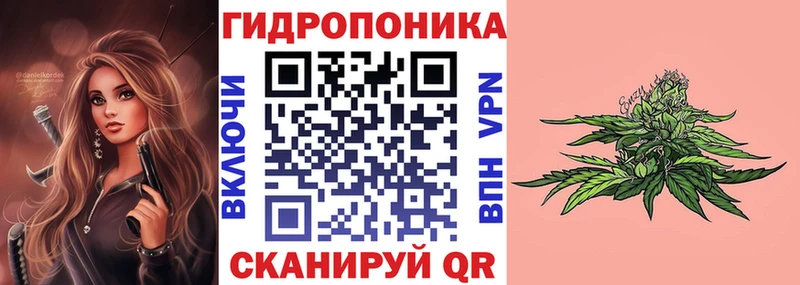 Бошки Шишки гибрид  что такое   Солнечногорск 